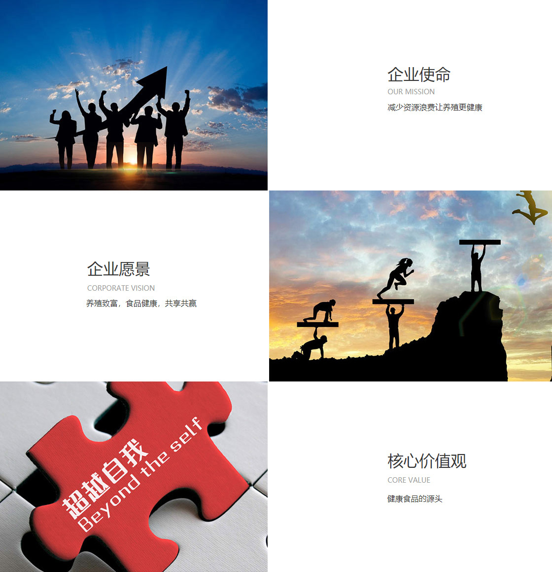 彩神vi(图1)